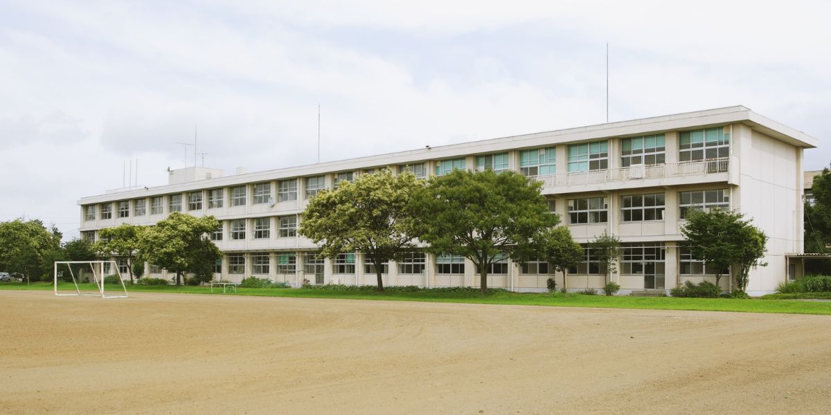 写真3