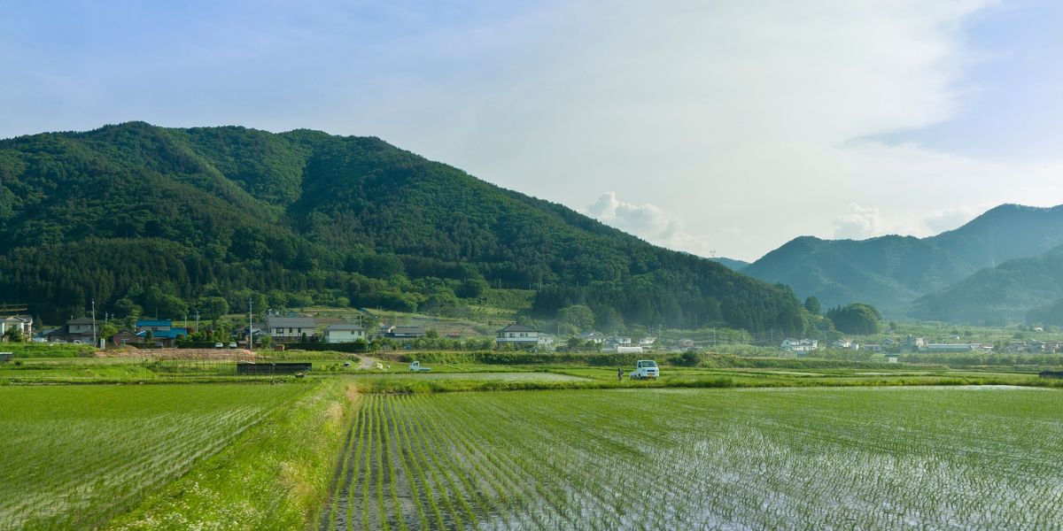 移住サポート
