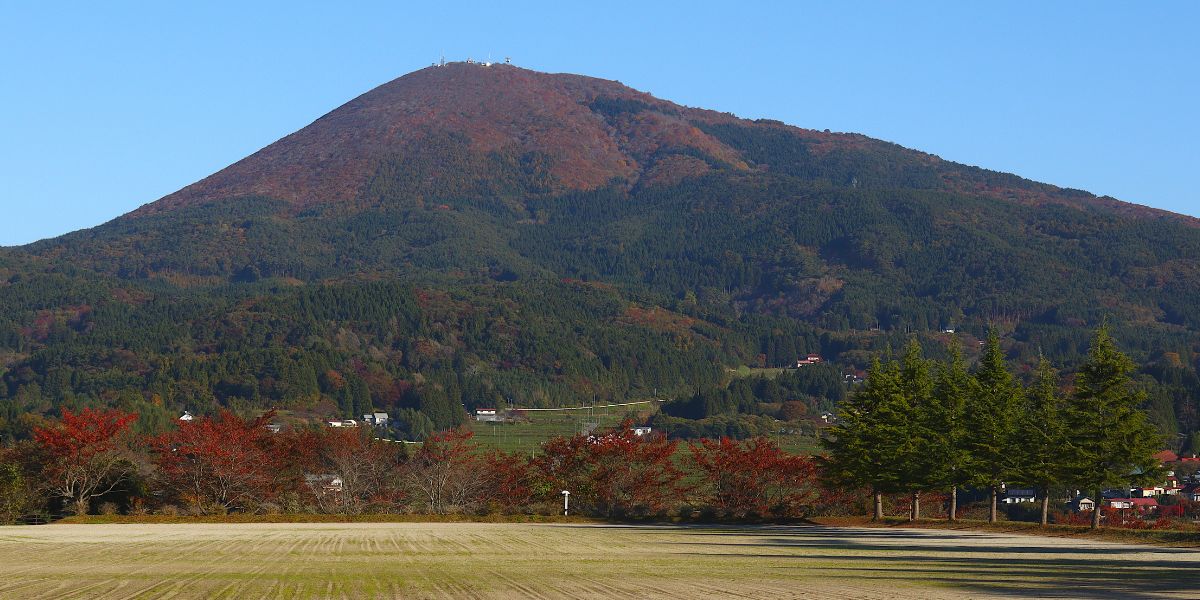 写真2